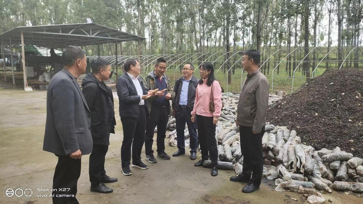 富硒香菇品牌有哪些产品(香菇富硒品牌产品有那些)-硒宝网