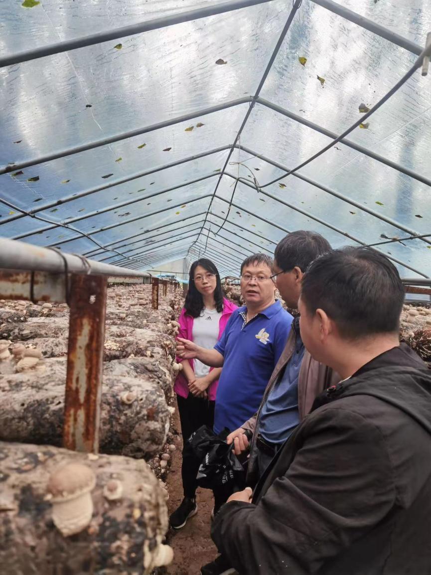 富硒香菇品牌有哪些产品(香菇富硒品牌产品有那些)-硒宝网