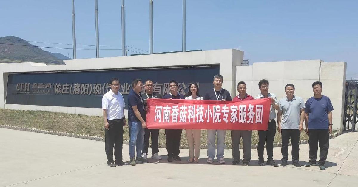 富硒香菇品牌有哪些产品(香菇富硒品牌产品有那些)-硒宝网