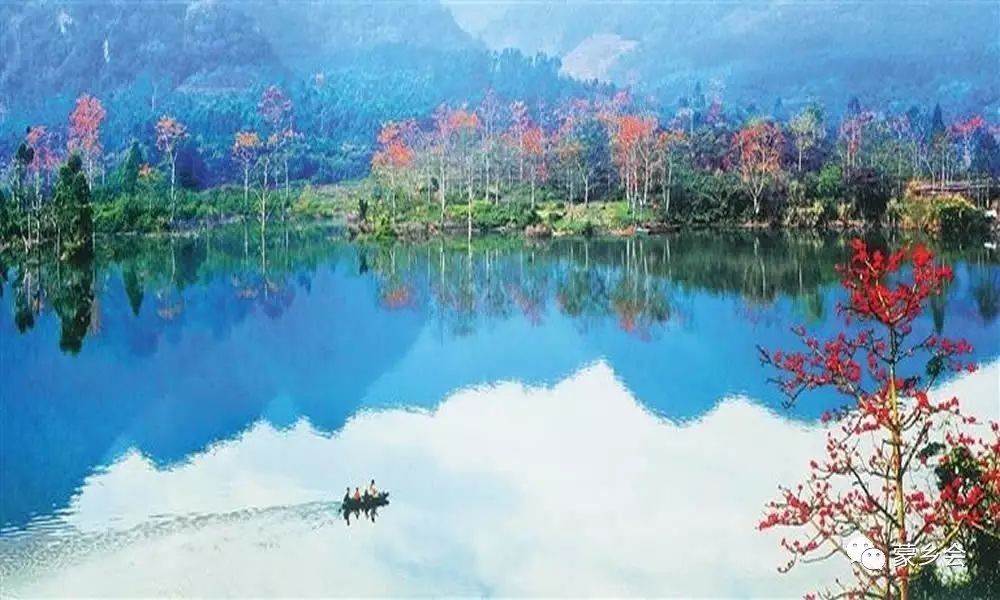 海南哪个地方有富硒产品（海南地方富硒产品有哪些品种）-硒宝网