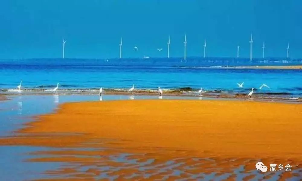 海南哪个地方有富硒产品（海南地方富硒产品有哪些品种）-硒宝网