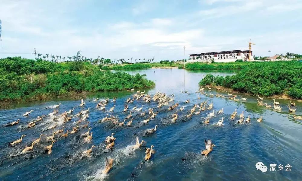 海南哪个地方有富硒产品（海南地方富硒产品有哪些品种）-硒宝网