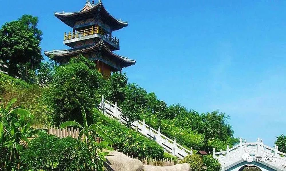 海南哪个地方有富硒产品（海南地方富硒产品有哪些品种）-硒宝网