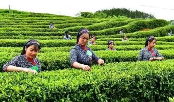 富硒畜牧水产产品有哪些(畜牧水产富硒产品有哪些品种)-硒宝网