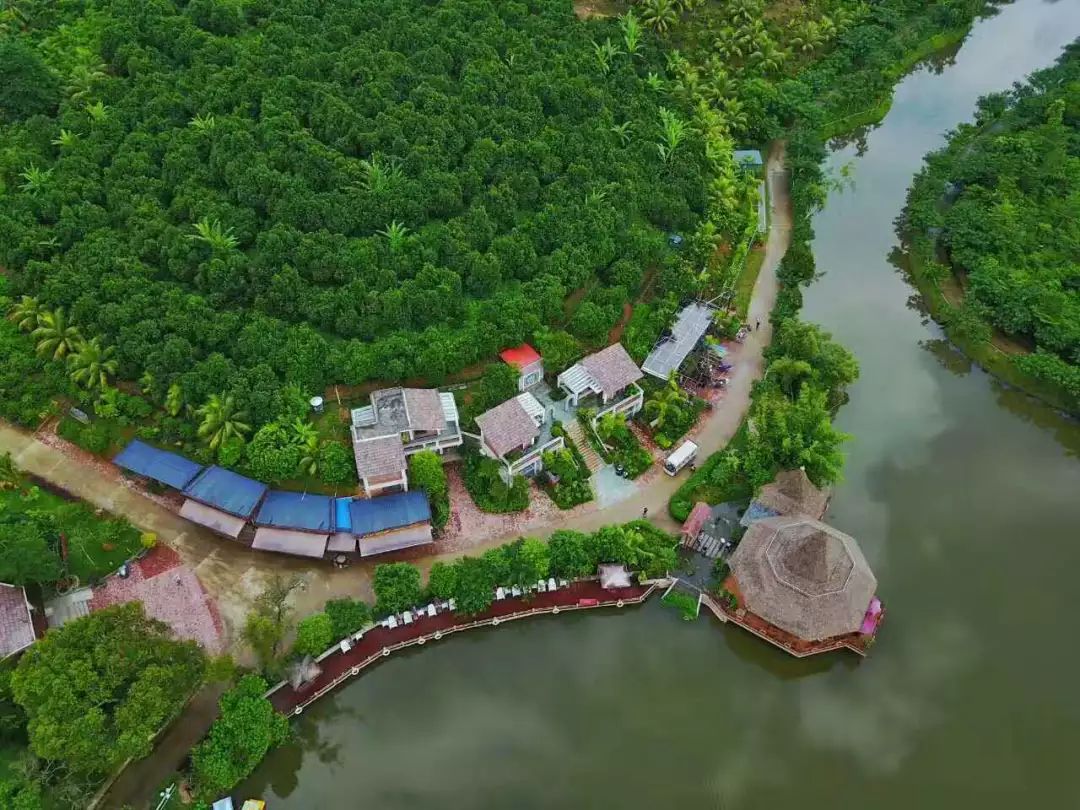 海南哪个地方有富硒产品(海南富硒)-硒宝网