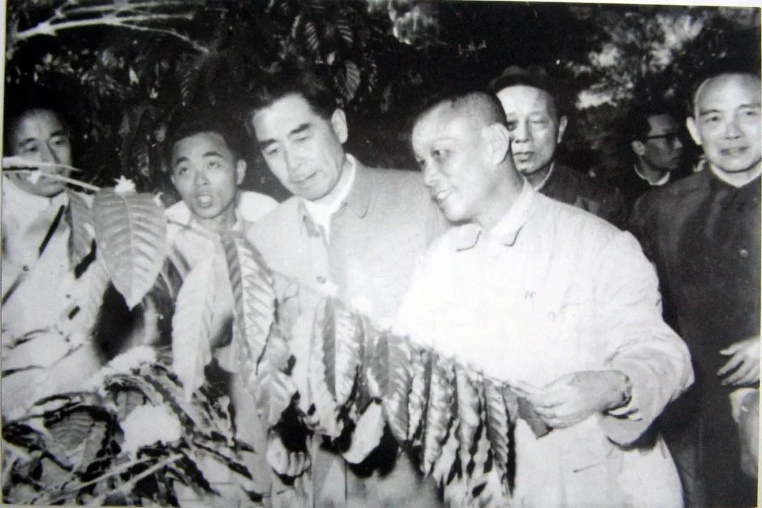 海南哪个地方有富硒产品(海南富硒)-硒宝网