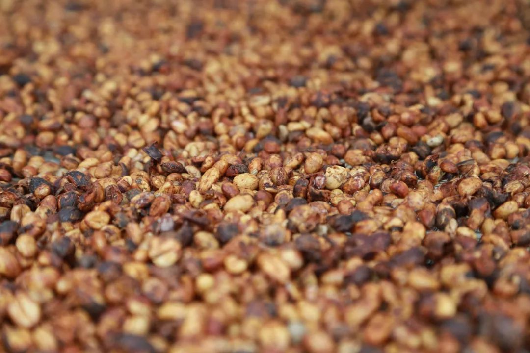 海南哪个地方有富硒产品(海南富硒)-硒宝网