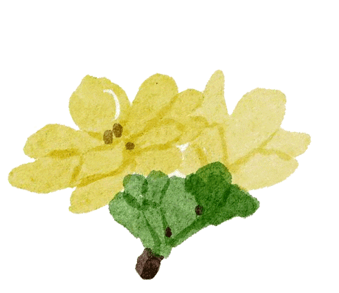 现在富硒产品市场好做吗（富硒食品专卖店好做吗）-硒宝网