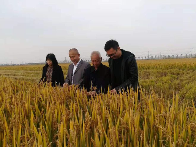 桃源富硒农业产品介绍词（桃源县富硒产品研究所）-硒宝网