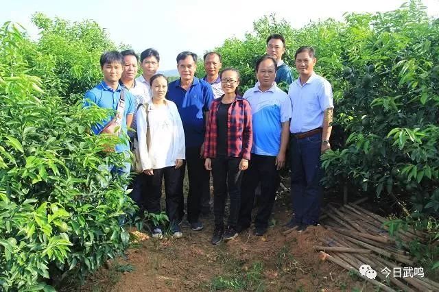 武鸣富硒产品有哪些品种（富硒产品品牌）-硒宝网