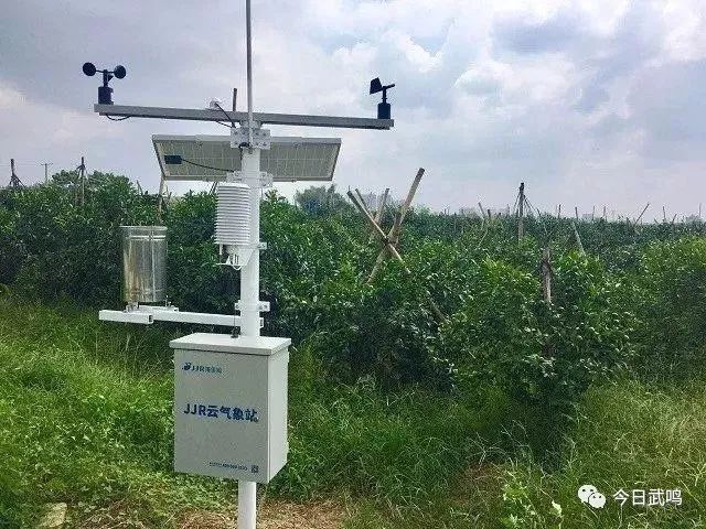 武鸣富硒产品有哪些品种（富硒产品品牌）-硒宝网