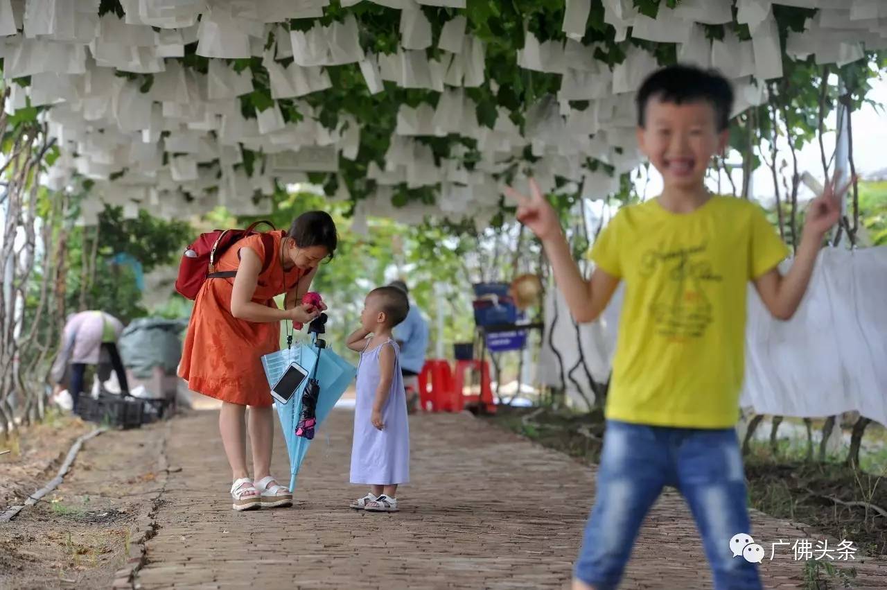 南山镇富硒小镇实际产品（南山小镇在哪）-硒宝网