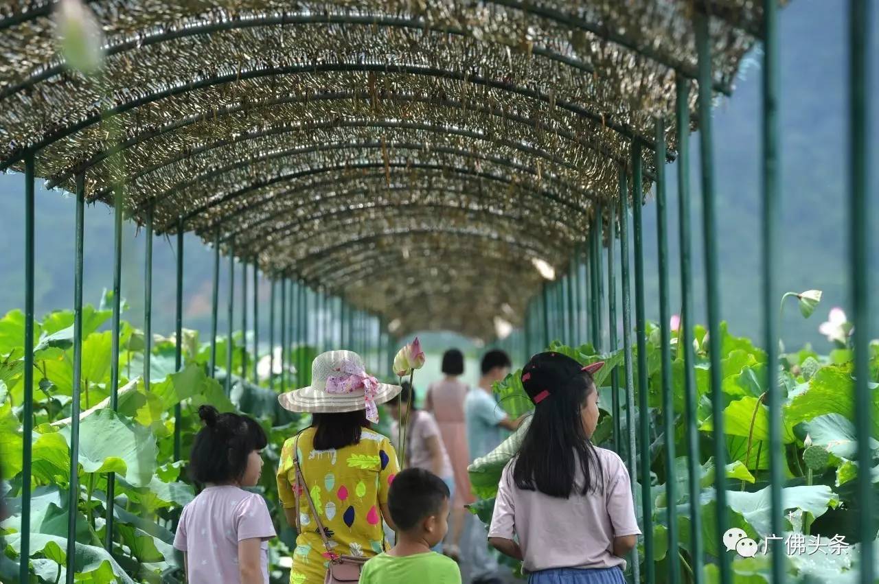 南山镇富硒小镇实际产品（南山小镇在哪）-硒宝网