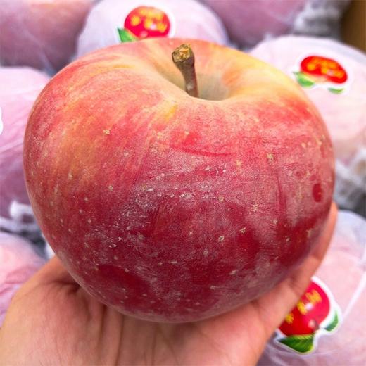 新疆富硒宝地有哪些产品(新疆富硒宝地有哪些产品)-硒宝网