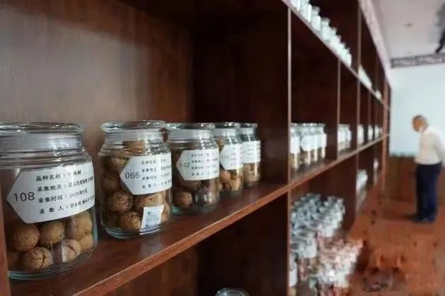 富硒提取设备有哪些产品（提取设备富硒产品有什么作用）-硒宝网