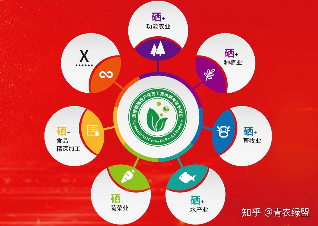 富硒产品发展的未来规划（富硒产业发展方向）-硒宝网