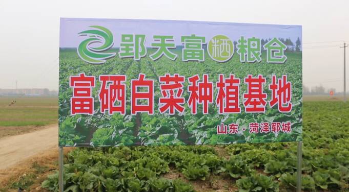 富硒产品发展的未来规划（富硒产业发展方向）-硒宝网