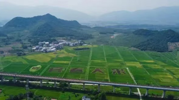 富硒粮仓卖什么产品最好(富硒粮仓是传销吗)-硒宝网