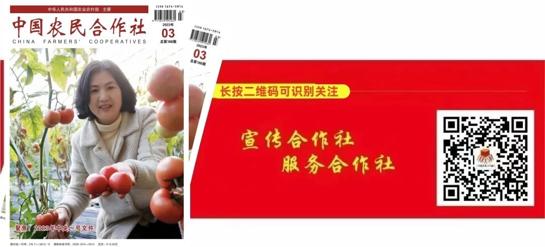 怎么卖富硒粮食产品挣钱(挣钱粮食卖富硒产品违法吗)-硒宝网