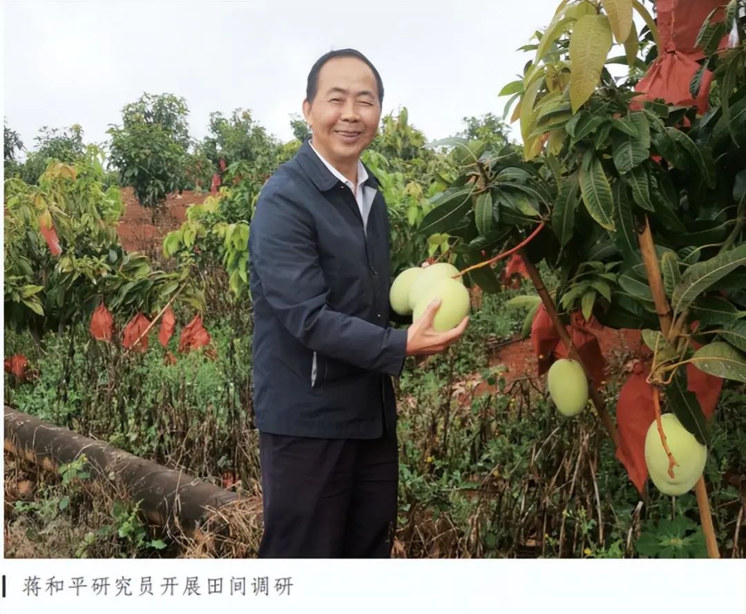 怎么卖富硒粮食产品挣钱(挣钱粮食卖富硒产品违法吗)-硒宝网