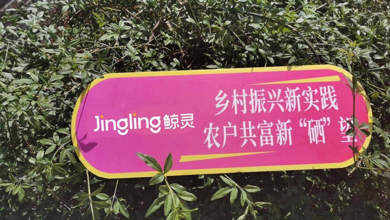 富硒产品项目运营与管理（富硒技术应用推广公司）-硒宝网