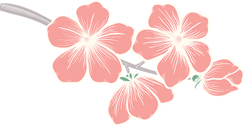 怎么卖富硒粮食产品挣钱（富硒粮食专卖店怎么样）-硒宝网