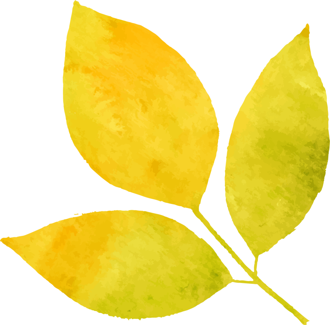 怎么卖富硒粮食产品挣钱（富硒粮食专卖店怎么样）-硒宝网