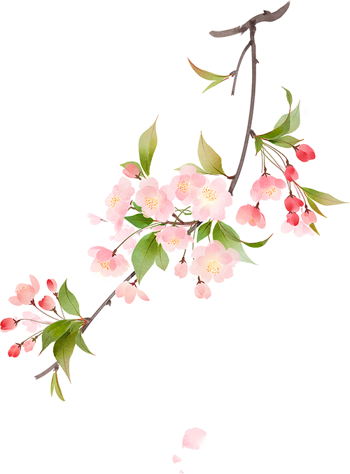 怎么卖富硒粮食产品挣钱（富硒粮食专卖店怎么样）-硒宝网