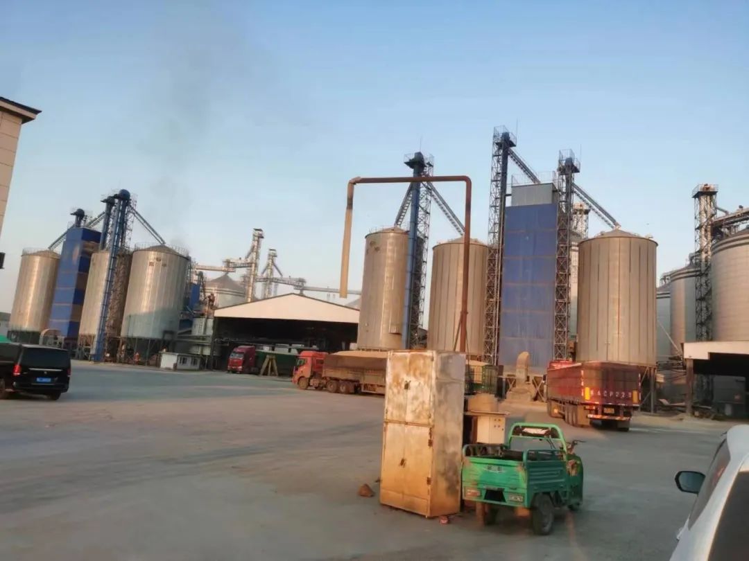 怎么卖富硒粮食产品挣钱（富硒粮食专卖店怎么样）-硒宝网