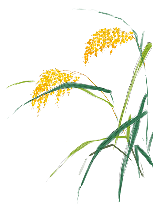 怎么卖富硒粮食产品挣钱（富硒粮食专卖店怎么样）-硒宝网