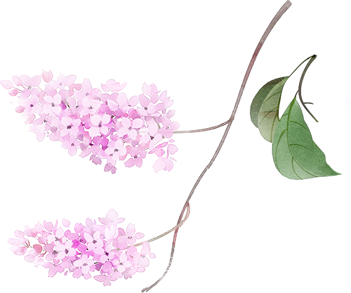 怎么卖富硒粮食产品挣钱（富硒粮食专卖店怎么样）-硒宝网