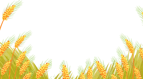 怎么卖富硒粮食产品挣钱（富硒粮食专卖店怎么样）-硒宝网