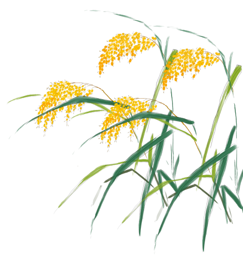 怎么卖富硒粮食产品挣钱（富硒粮食专卖店怎么样）-硒宝网