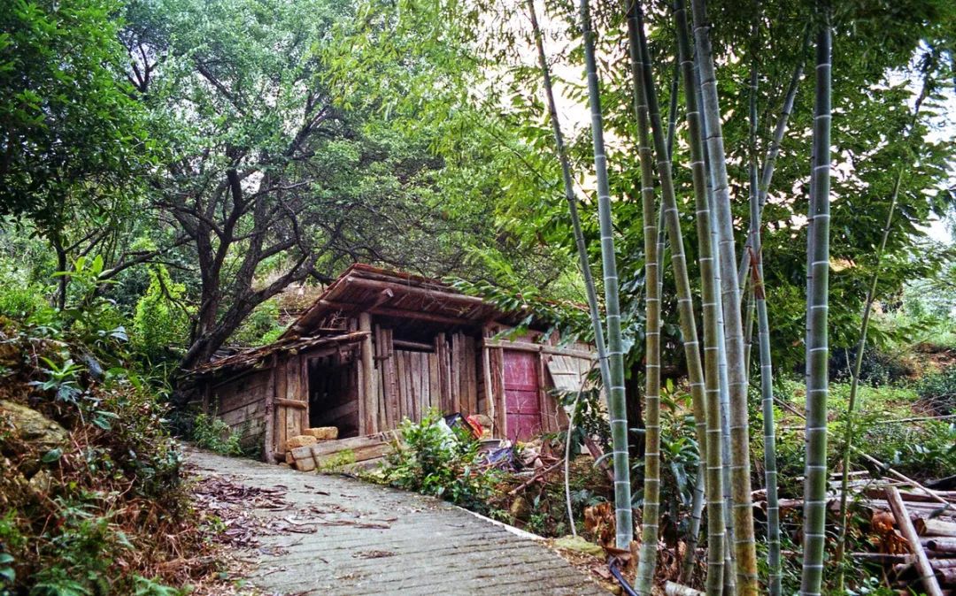 南山镇富硒小镇实际产品(南山镇富硒小镇实际产品)-硒宝网