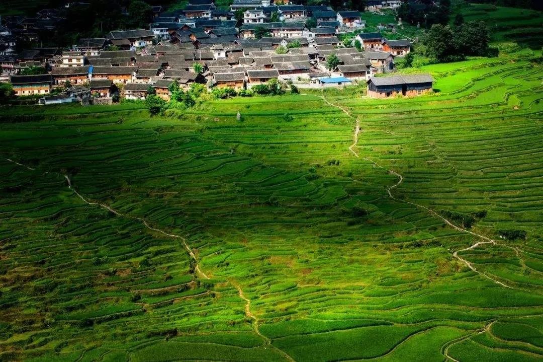 南山镇富硒小镇实际产品(南山镇富硒小镇实际产品)-硒宝网