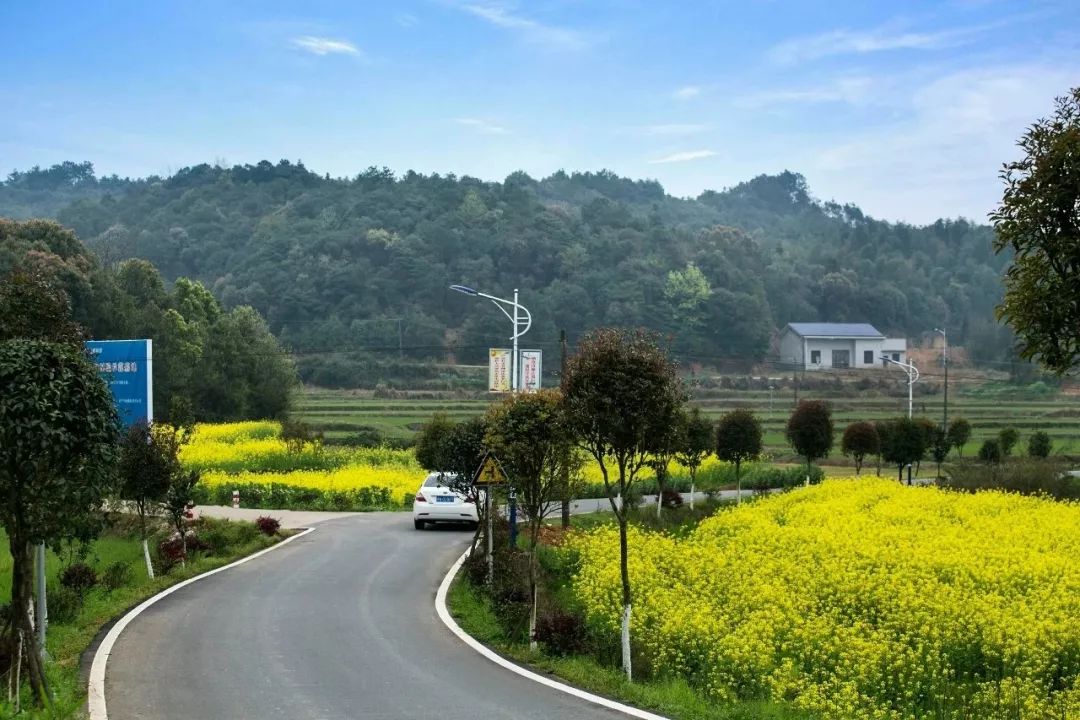 南山镇富硒小镇实际产品(南山镇富硒小镇实际产品)-硒宝网