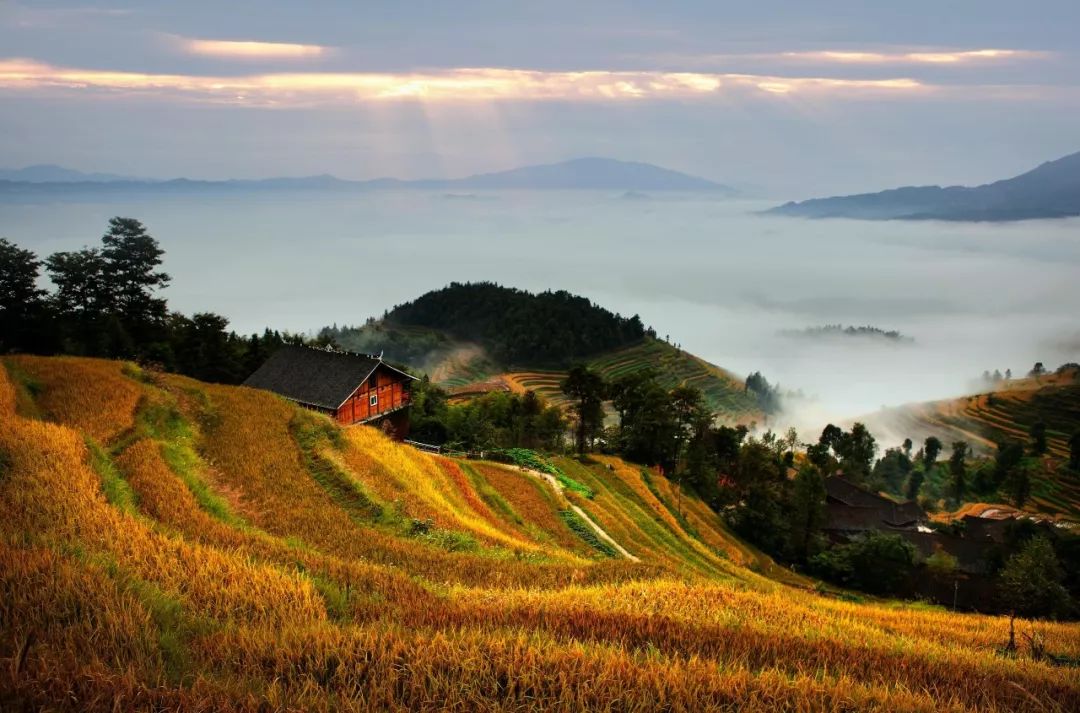 南山镇富硒小镇实际产品(南山镇富硒小镇实际产品)-硒宝网