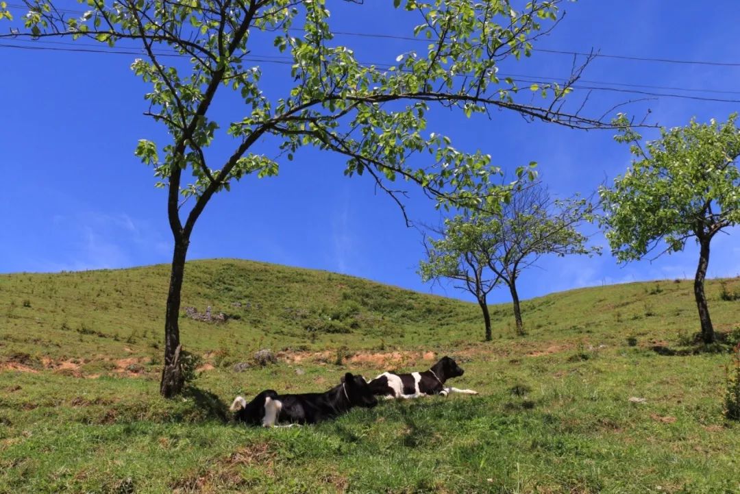 南山镇富硒小镇实际产品(南山镇富硒小镇实际产品)-硒宝网