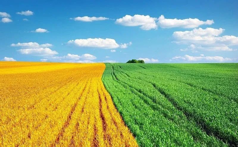 富硒产品环境要求标准是（富硒产品国家标准）-硒宝网