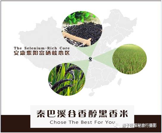 富硒产品环境要求标准是(富硒产品环境要求标准是)-硒宝网