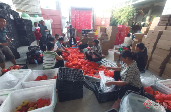 云南有哪些富硒产品好用（富硒产品品牌）-硒宝网