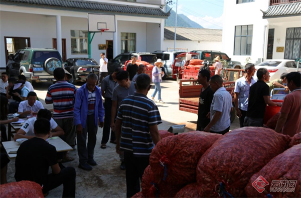 云南有哪些富硒产品好用（富硒产品品牌）-硒宝网