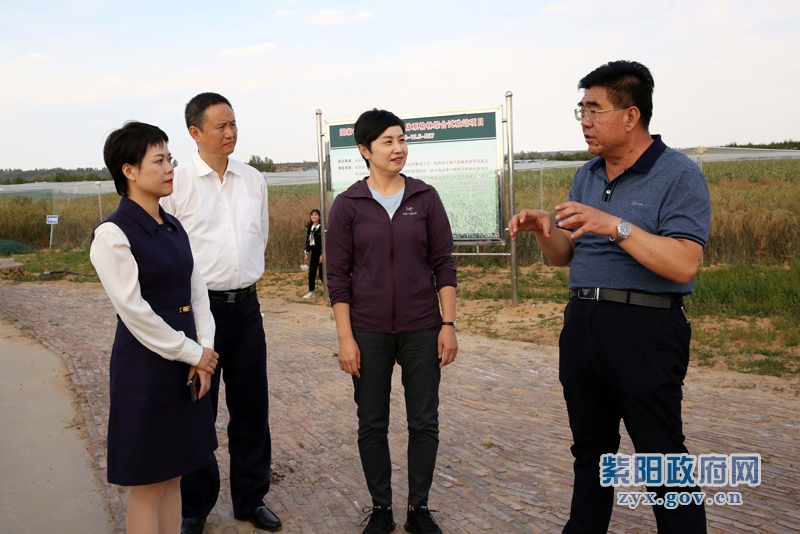 公司在紫阳考察富硒产品(陕西省紫阳富硒茶业有限公司)-硒宝网