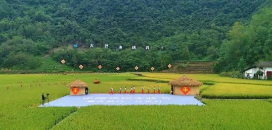 无公害富硒生态有机产品（无公害生态机富硒产品有哪些）-硒宝网