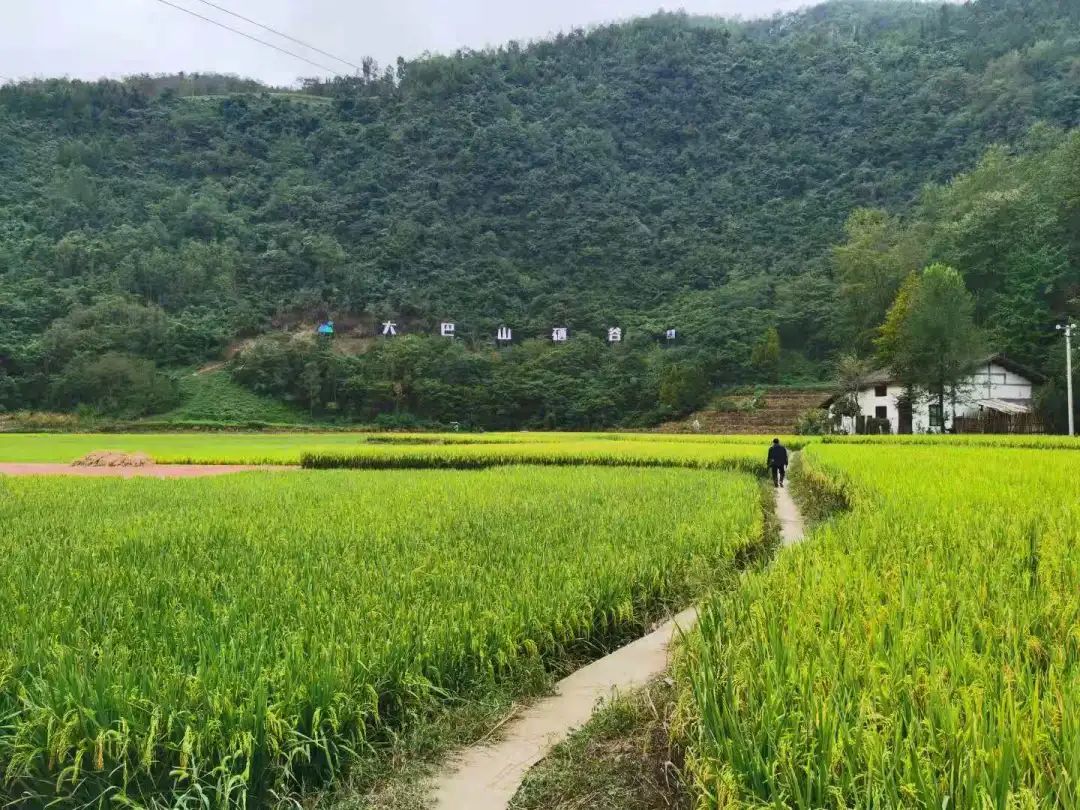 无公害富硒生态有机产品（无公害生态机富硒产品有哪些）-硒宝网