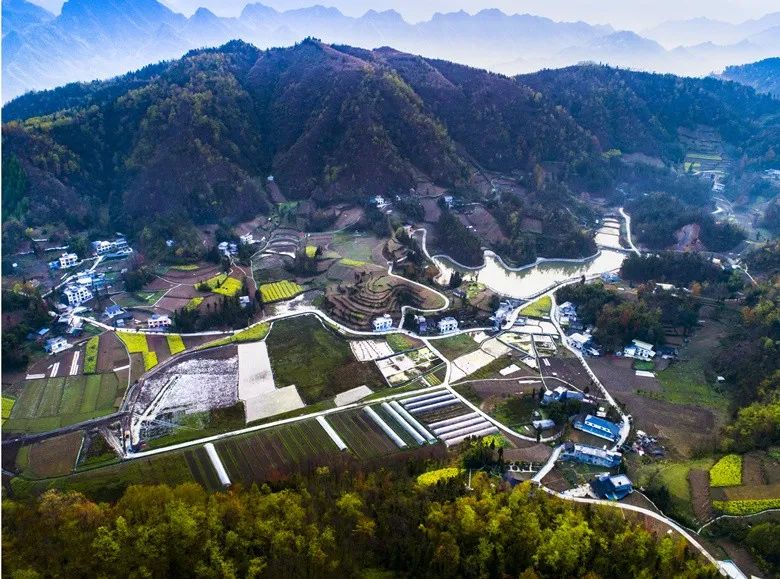 无公害富硒生态有机产品（无公害生态机富硒产品有哪些）-硒宝网