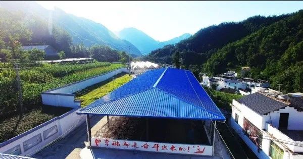 无公害富硒生态有机产品（无公害生态机富硒产品有哪些）-硒宝网