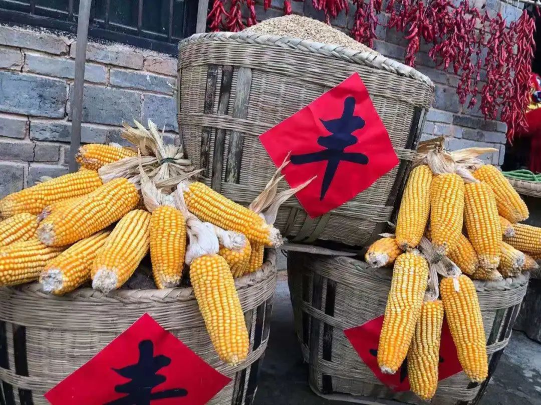 无公害富硒生态有机产品（无公害生态机富硒产品有哪些）-硒宝网