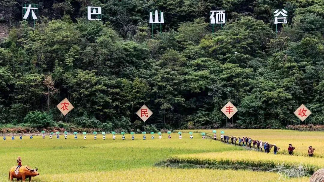 无公害富硒生态有机产品（无公害生态机富硒产品有哪些）-硒宝网