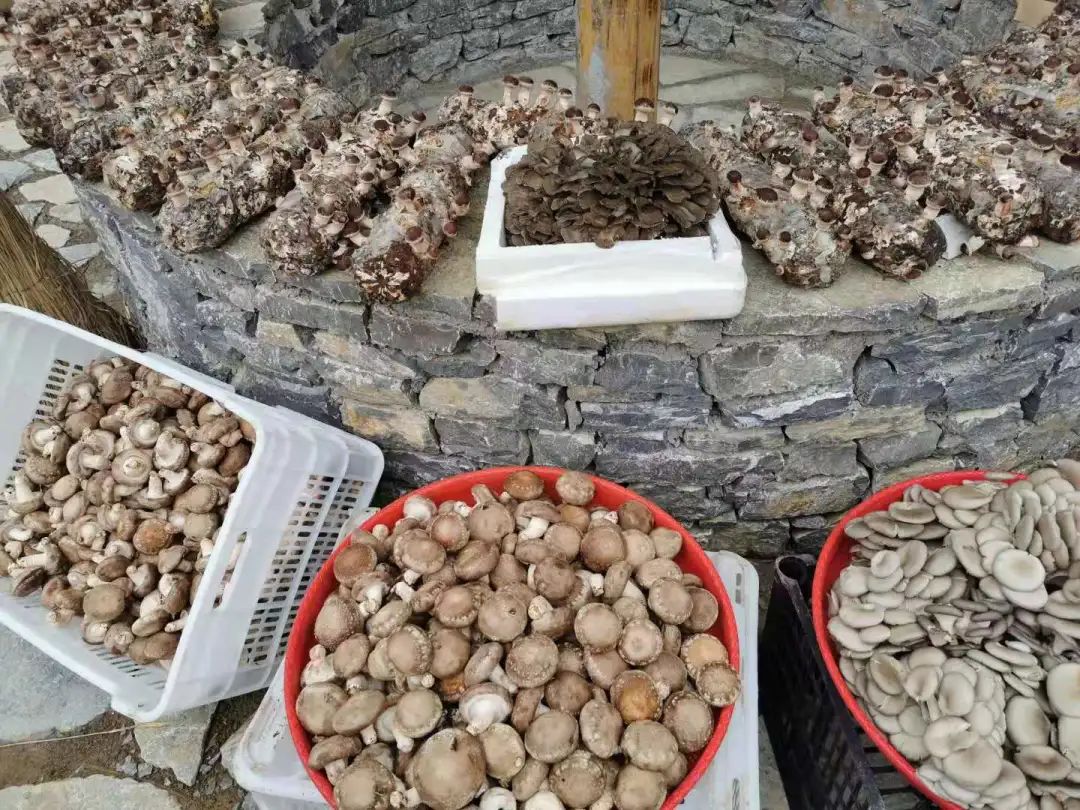 无公害富硒生态有机产品（无公害生态机富硒产品有哪些）-硒宝网